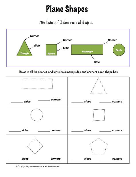 Worksheet | Plane Shapes | Learn about the attributes of Plane Shapes. Plane Shapes Activities, Plane Shapes Worksheets, Grade 1 Worksheets, Butterfly Lessons, 3d Shapes Worksheets, Maths Syllabus, Count And Write, Plane Shapes, Plane Figures