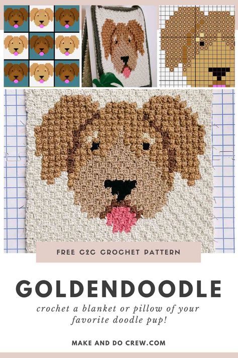 C2c Dog Pattern, Crochet Goldendoodle, Golden Doodle Crochet Pattern, Crochet Dog Pillow, Crochet Doodle, C2c Pillow, C2c Afghan, C2c Patterns, C2c Blanket