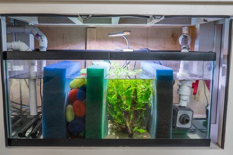 Detailed information on a freshwater sump (plus bonus DIY stand) Diy Aquarium Filter, Saltwater Aquarium Setup, Aquarium Sump, Indoor Aquaponics, Fish Tank Stand, Diy Fish Tank, Tropical Fish Tanks, Diy Lego, Fresh Water Fish Tank