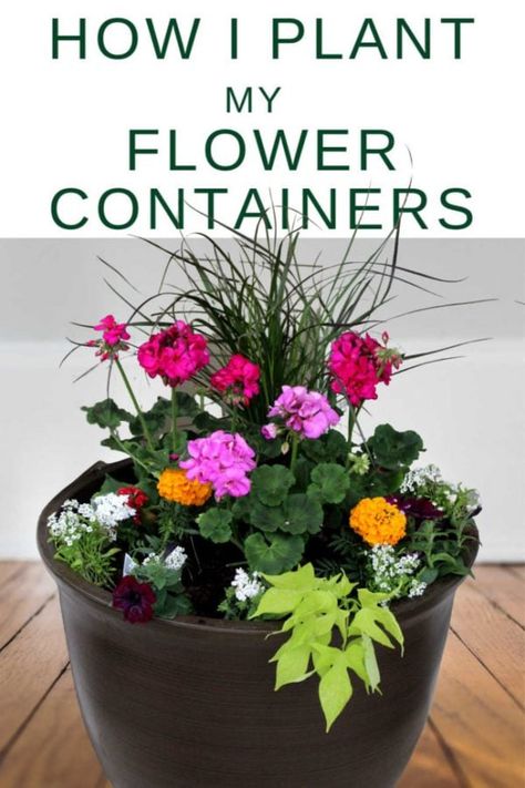 How to plant flower pots Simple Planter Ideas, Multi Flower Pot Ideas, Large Flower Planter Ideas, Angelonia In Containers, Planter Ideas For Full Sun, Annual Flowers In Containers, Geranium Planter Ideas, Geraniums In Pots, Porch Flower Pots