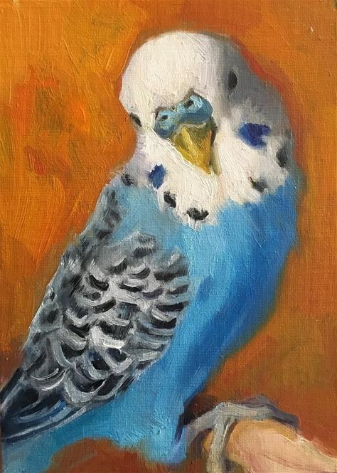 Katya Minkina, Bird Painting Acrylic, Animal Paintings Acrylic, Parrot Painting, Parrots Art, Bird Paintings, Cute Paintings, Parakeets, Art Inspiration Painting