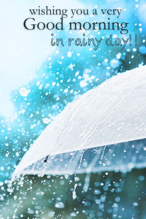 Good Morning Wishes In Rainy Day, Rainy Good Morning Rain, Good Morning Rainy Day Quotes Beautiful, Rainy Day Good Morning Wishes, Good Rainy Morning Quotes, Rain Good Morning Rainy Days, Rain Morning Rainy Days, Rainy Good Morning Quotes, Good Morning Raining Day