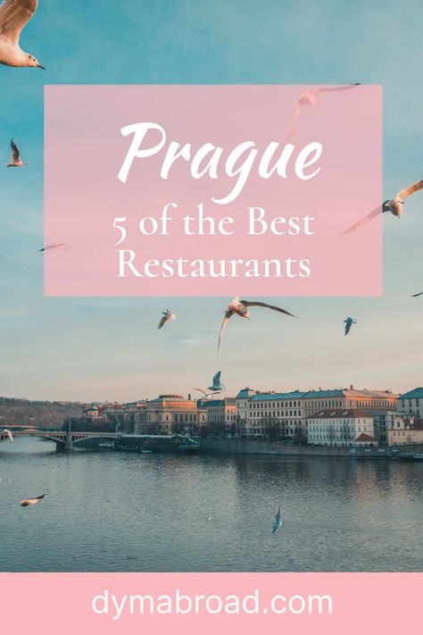 Here, you'll find 5 of the best restaurants in Prague including addresses and menus! Looking for a place to have dinner? Then check out this article! Restaurants In Prague, Dinner In The City, Czech Republic Travel, Prague Hotels, Dinner Places, Best Dinner, Dinner Restaurants, Czech Recipes, Prague Castle