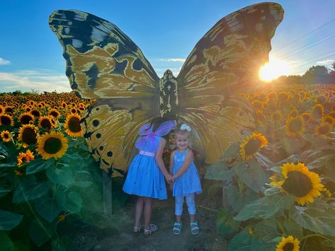 U Pick Strawberry Farm, Agro Tourism, Sunflower Maze, Woodland Fairy Birthday Party, Sunflower Ideas, Farm Display, Sunflower Festival, Woodland Fairy Birthday, Pumpkin Patch Farm