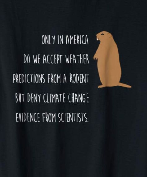 Groundhog Day Movie, Groundhog Day Activities, February Quotes, Happy Groundhog Day, Weather Predictions, Only In America, Groundhog Day, Birthday Meme, Preschool Activities