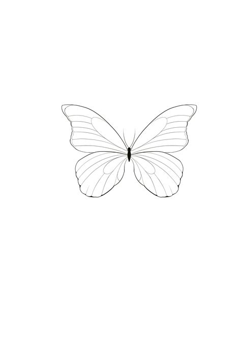 Fine Line Butterfly Tattoo Stencil, Small Butterfly Tattoo Outline, Fineline Butterfly Tattoo Design, Fine Line Butterfly Tattoo Design, Butterfly Tattoo Line Art, Line Work Butterfly, Butterfly Linework, Small Simple Butterfly Tattoo, Fine Line Tattoo Butterfly