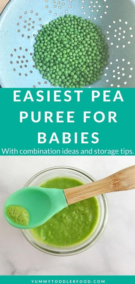 Pea Baby Food, Pea Puree, Pureed Food, Baby Food Puree, Puree Recipes, Easy Baby Food, Recipes For Baby, Making Baby Food, Diy Baby Food