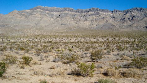 Great Basin desert. Nevada.2009 Great Basin Desert, Nevada Landscape, Sand Mountain Nevada, Nevada Sunset, Battle Mountain Nevada, Paiute Indians Nevada, Great Basin, Escape Room Game, Vivarium