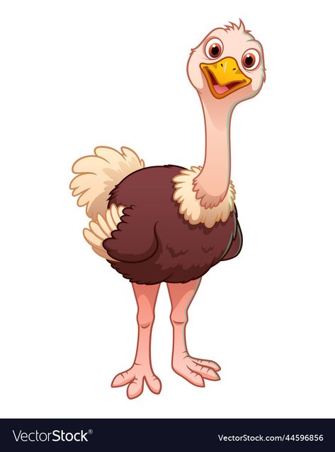 Baby Ostrich, Animal Vector, Cartoon Images, Cartoon Pics, Animal Illustration, Transparent Png, Cartoon Animals, Free Vector Images, Png Images