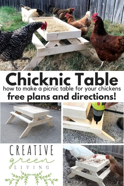 CHICKEN Make A Picnic Table, Small Picnic Table, Chicken Table, Chicken Coop Blueprints, Small Picnic, Cute Chicken Coops, Chicken Coop Decor, Chicken Coop Garden, Backyard Chicken Coop Plans