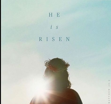 He Is Risen Quotes, Easter Images Jesus, Good Friday Quotes, Rise Quotes, Encouragement Quotes Christian, Jesus Is Risen, Jesus Is Alive, He Has Risen, He Is Alive