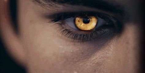 Werewolf Eyes, Werewolf Aesthetic, Aesthetic Eyes, Fantasy Aesthetic, Urban Fantasy, The Pack, Character Aesthetic, The Villain, Cool Eyes