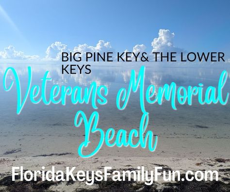 This is the absolute best beach to visit with your family when vacationing in the Florida Keys! Follow along for more ideas. The Florida Keys, Key West Florida, Veterans Memorial, Memorial Park, Best Beaches, Florida Keys, Key West, Family Fun, Neon Signs