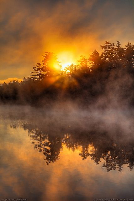 If HOPE AND DREAMS could be painted into a picture, this morning light chasing off dark would be fitting art! #DDO:) MOST POPULAR RE-PINS - http://www.pinterest.com/DianaDeeOsborne/hope-and-dreams/ - As the orange sun rises behind the hills, its reflection on the still lake waters, the foggy mist rises. Another sunrise, another Day for Hope dispelling the darkness of night. Also on my SKYLIGHTS board, full of sunrise and sunset photos. Free SONGS of hope, comfort at  www.DianaDeeOsborneSongs.com Echo Lake, Foto Tips, Beautiful Sunrise, Beautiful Sky, Beautiful Sunset, Amazing Nature, Nature Pictures, Sunrise Sunset, Beautiful World