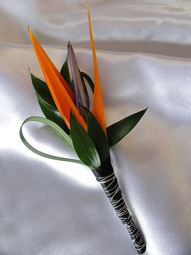 Bird of Paradise Floret, Italian Ruskus and Lily Grass; Black satin stem wrap with a Silver wire detail | Walden Floral Design Bird Of Paradise Wedding, Boutonniere Ideas, Tropical Wedding Bouquets, Tropical Wedding Theme, Tropical Wedding Decor, Wedding Boutonnieres, Paradise Wedding, Birds Of Paradise Flower, Beachside Wedding