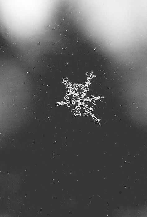 christmas-winter Frosted Window, Jolie Photo, Sleeve Tattoo, Winter Aesthetic, White Photo, Christmas Aesthetic, Christmas Wallpaper, Yule, White Photography