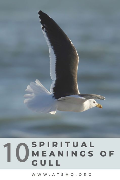 Gull Symbolism: 10 Spiritual Meanings of Gull Walking By The Beach, Seagull Tattoo, S Meaning, Celtic Mythology, Power Animal, Sea Gull, Spiritual Guides, Spiritual Meaning, Native American Culture