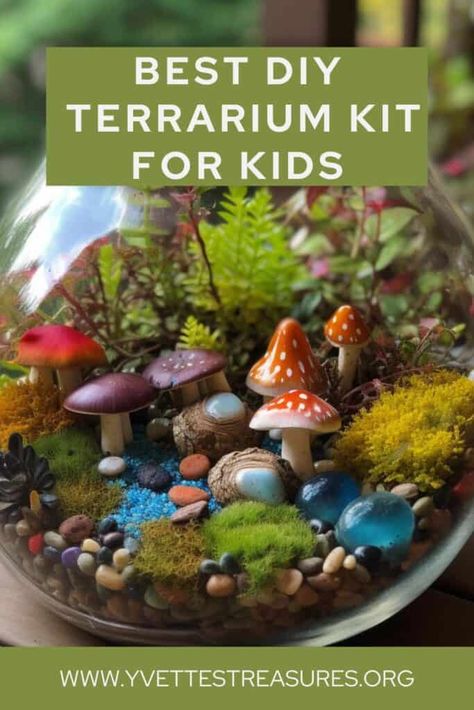 Best DIY Terrarium Kit For Kids For A Fun Time - Best Online Gift Store Diy Terrarium Party, Terrarium Ideas For Kids, Terrarium Diy Kids, Terraria Party, Build A Terrarium, Diy Terrarium Kit, Plant Party, Mini Terrarium, Mushroom Crafts