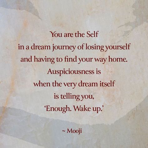 Mooji Sangha | You are the Self Mooji Quotes, Losing Yourself, Life Coach Quotes, Find Your Way, Life Changing Quotes, Struggle Is Real, Lesson Quotes, Life Lesson Quotes, Note To Self