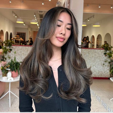 Airtouch Balayage Brown, Black Hair With Front Pieces Dyed, Boliage Hair Black Hair, Dark Brown Hair Change Ideas, South Asian Hair Color, Cool Ash Brunette, Black Balyage Long Hair, Fall Dark Brown Hair, Fall Hair Cuts Long