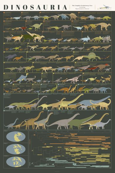 Dinosaur Poster, Educational Chart, Dinosaur Room Decor, Pop Chart, Dinosaur Room, Prehistoric World, Dinosaurs, Made In The Usa, Evolution