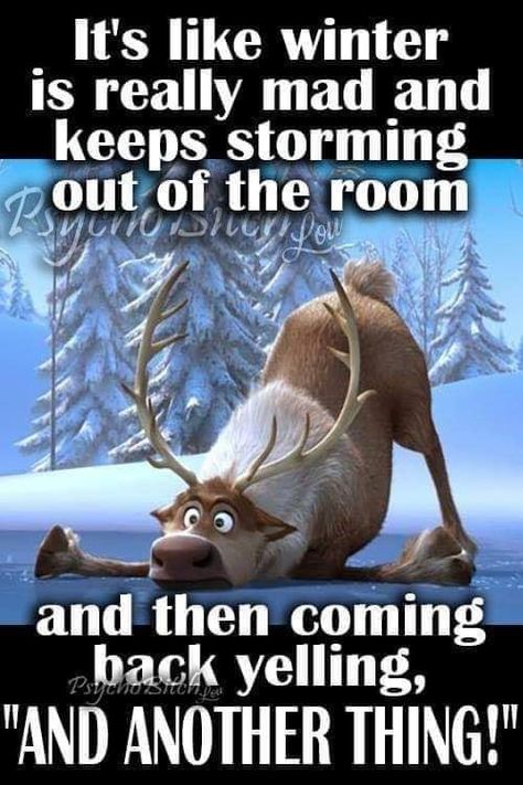 Cold Morning Quotes Funny, Freezing Cold Humor, Cold Outside Humor, Cold Weather Funny, Weather Humor, Winter Jokes, Snow Quotes, Winter Humor, Snow Humor