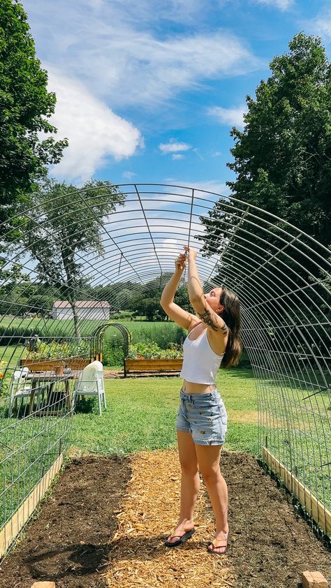 Cattle Panel Hoop Coop, Cattle Panel Hoop House Greenhouse, Vegetable Garden Netting Ideas, Cattle Panel Coop, Garden Green House Ideas, Cattle Panel Tunnel, Garden Greenhouse Diy, Cow Fence Trellis, Diy High Tunnel Greenhouse