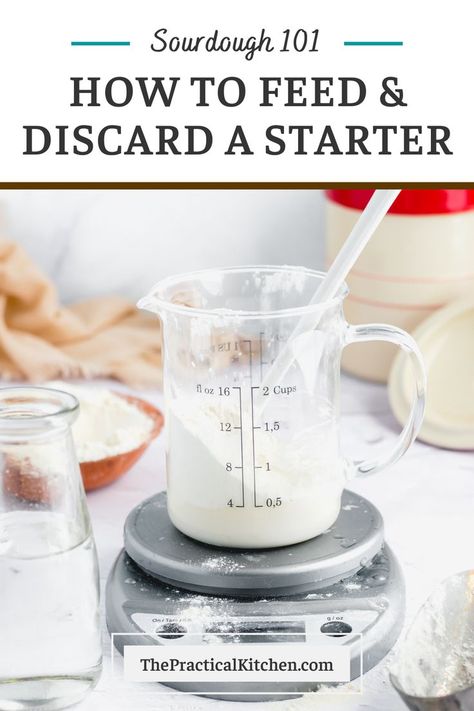 How to feed your sourdough starter to keep it happy, healthy and mold-free. Repeat this process every time you feed your starter, whether you’re feeding it daily, weekly, or monthly. If you’re planning on using it to make bread, feed it a few days in a row to make sure it’s nice and strong. Use the discard to make scallion pancakes. Best Sourdough Starter Recipe, Homemade Sourdough Bread Recipes, Gluten Free Sourdough Starter, King Arthur Flour Recipes, Dough Starter, Sourdough Bread Starter, Gluten Free Sourdough, Scallion Pancakes, Homemade Sourdough Bread