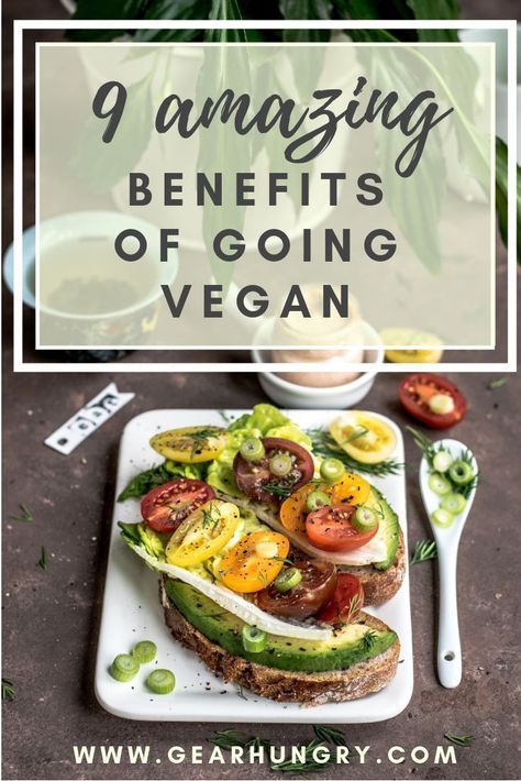 Benefits Of Going Vegan, Vegan Benefits, Vegan Protein Sources, Vegan Recipes Plant Based, Cake Vegan, Vegan Nutrition, More And More, Good Healthy Recipes, Health And Fitness Tips