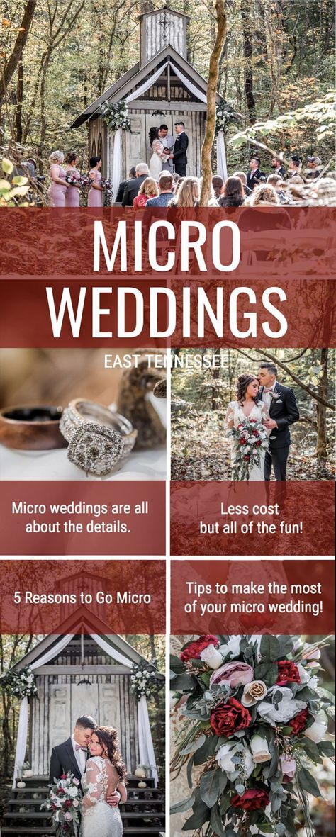 Wedding Tips And Tricks, Gatlinburg Weddings, Very Small Wedding, Marriage Reception, Garden Decoration Ideas, Smoky Mountain Wedding, Tiny Wedding, Micro Weddings, Small Intimate Wedding