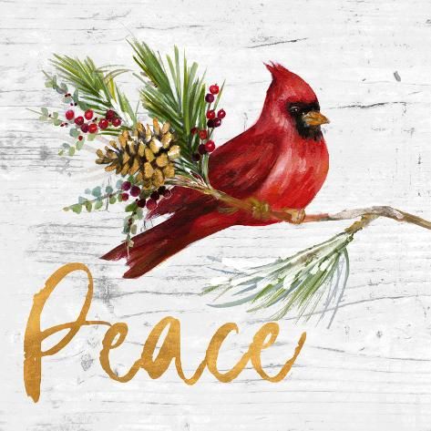 size: 12x12in Art Print: Holiday Cardinal I by Lanie Loreth : Cardinal Painting, Christmas Cardinals, Christmas Card Art, Holiday Painting, Watercolor Christmas Cards, Christmas Canvas, Red Cardinal, Christmas Scenes, Christmas Paintings