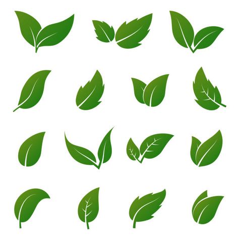 1,608,992 Leaf Illustrations, Royalty-Free Vector Graphics & Clip Art - iStock Valentines Day Doodles, Leaf Vector, Leaves Illustration, Leaf Illustration, Plant Vector, Floral Border Design, Leaves Vector, Tea Leaf, Green Tree