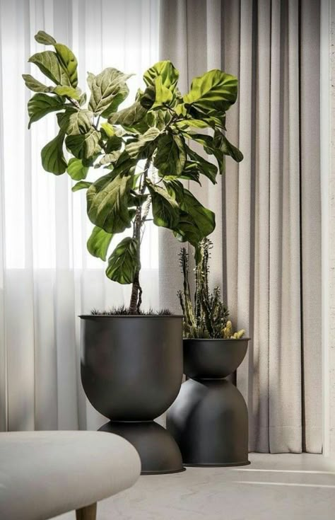 Interior Planters, Comercial Interior Design, Planters Ideas, Indoor Plants Styling, نباتات منزلية, Bedroom Plants, Interior Plants, Living Room Design Decor, House Plants Decor