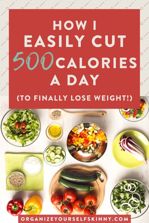 How I easily cut 500 calories a day! - Organize Yourself Skinny Eating Healthy For Beginners, Healthy For Beginners, 500 Calorie Meal Plan, 500 Calories Recipes, Start Eating Healthy, 500 Calories A Day, 500 Calorie Meals, Weights For Beginners, Healthy Living Motivation