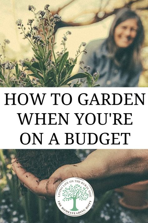 Slugs In Garden, Frugal Gardening, Tips For Saving Money, How To Garden, Homestead Survival, Home Vegetable Garden, Container Gardening Vegetables, Sustainable Garden, Organic Gardening Tips