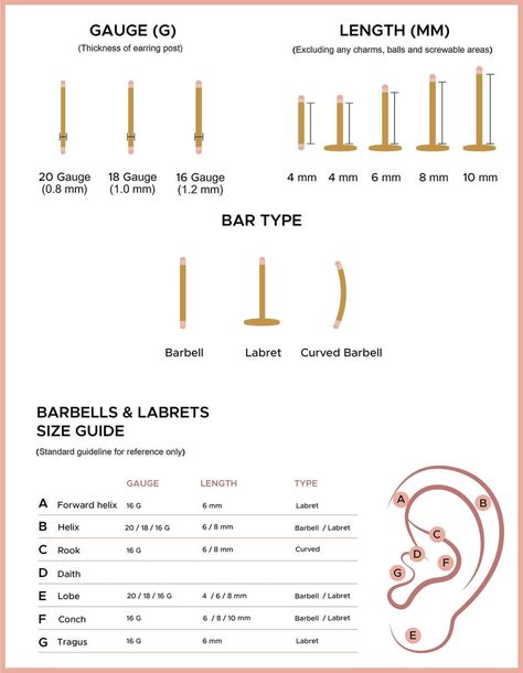 Ear Piercing Size Chart, Earring Size Chart, Piercing Guide, Ear Piercing Diagram, Different Types Of Piercings, Ear Bar, Piercing Chart, Ear Piercings Chart, Ear Peircings