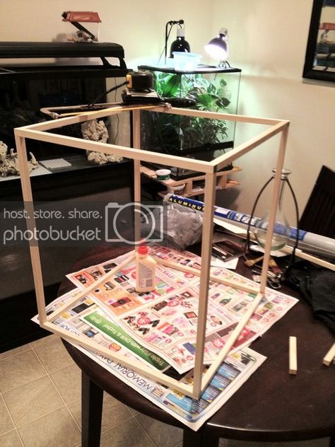 Diy Terrarium Reptile, How To Build A Reptile Terrarium, Exo Terra Terrarium Ideas, Bio Active Terrarium Ball Python, Bioactive Dart Frog Vivarium, Dart Frog Terrarium, Snake Enclosure, Frog Terrarium, Dart Frog