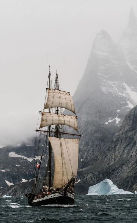 Nautical Aesthetic, Navi A Vela, 카드 디자인, Pirate Life, Tall Ships, In The Ocean, Pirates Of The Caribbean, Narnia, Sailing Ships