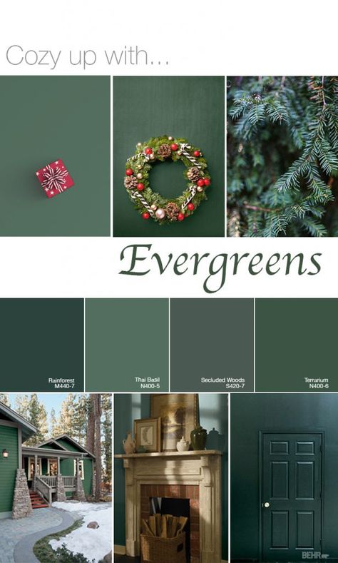 Color of the Month: In the Moment - Colorfully BEHR Pine Grove Paint, Forest Green Behr Paint, Emerald Green Behr Paint, Green Behr Paint Colors Bedroom, Green Painted Walls Behr, Green Agate Behr Paint, Secluded Woods Behr Paint, Behr Emerald Green Paint Colors, Secluded Woods Behr