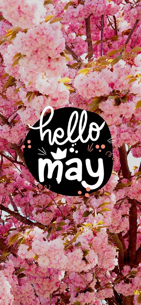 Introducing our exclusive Hello May Wallpaper Collection! Whether you're looking for a sweet way to welcome the new month or something special to decorate your phone, this collection has 50 free ideas to celebrate May. From whimsical butterflies to beautiful floral arrangements, you'll find something to inspire you and light up your screen this month. So what are you waiting for? Download now and celebrate the beauty of May! Welcome To May Month, May 2024 Calendar Wallpaper Iphone, Hello May Wallpapers, May Phone Wallpaper, Welcome May Month, May 1st, May Iphone Wallpaper, Aesthetic May Wallpaper, May Background