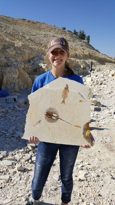 Why Dig with Us - American Fossil - Dig Real Fossils Kemmerer Wyoming, Gem Hunt, Fossil Hunting, Rocks And Fossils, Rock Hunting, Geology Rocks, Amber Fossils, Extinct Animals, Bear Lake