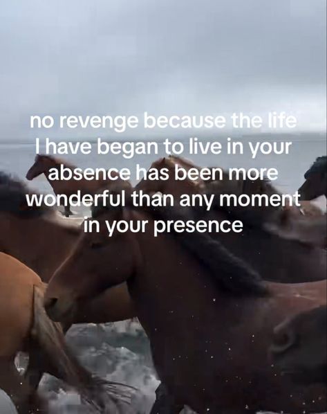 no revenge because the life I have began to live in your absence has been more wonderful than any moment in your presence Im Not Angry Anymore, Revenge Quotes, Thank God, Always Remember, Life I, Kind Words, Revenge, Words Quotes, Life Lessons