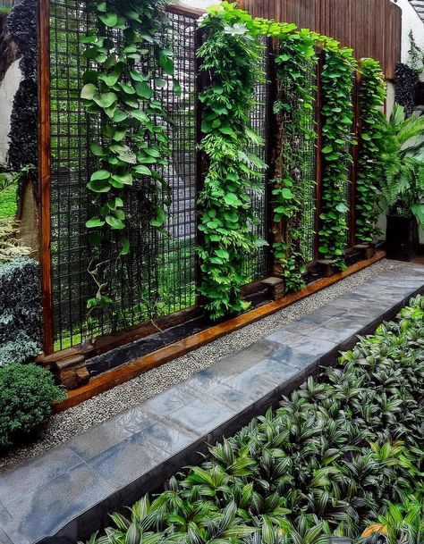 Vertical Garden Fence Vertical Garden Fence, French Barndominium, Vertical Garden Design Outdoors, Privacy Fence Ideas With Plants, Vertical Fence Ideas, Ideas To Hide Pipes On Wall, Aesthetic Fence, Sauna Garden, Wire Fence Panels