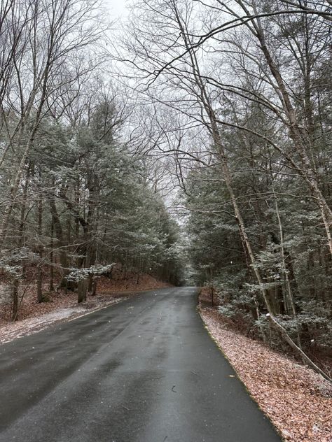 New England Suburbs, Northern Attitude Aesthetic, New England Winter Aesthetic, New England Gothic Aesthetic, New England Fall Aesthetic, Northeastern Gothic, First Snow Aesthetic, Stick Season Aesthetic, New England Gothic