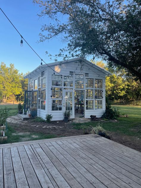 DIY Greenhouse with Vintage Windows Vintage Window Greenhouse, Diy Greenhouse With Old Windows, Green Houses Diy, Greenhouse With Old Windows, Greenhouse Made From Old Windows, Calm House, Old Window Greenhouse, Window Greenhouse, Yard Inspiration