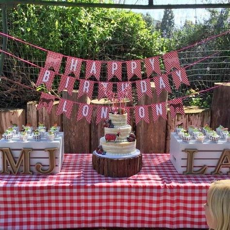 Red Gingham Party Decor, Gingham Picnic Party Ideas, Tablecloth Ideas Diy, Gingham Party Decor, Pavilion Party, Farm Party Birthday, Picnic Themed Parties, Baby Bbq, Farm Party Decorations