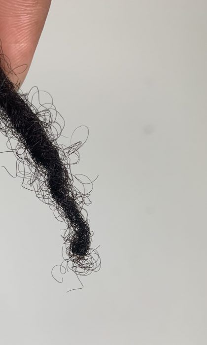 What Are These Balls At The Ends of My Locs? | CurlyNuGrowth Benefits Of Brushing Locs, Curly Ends Locs, Loc Sprinkles Locks, Loc Protective Styles, Locs With Curls At The End, Budding Locs, Curled Ends, Micro Locs, Starter Locs