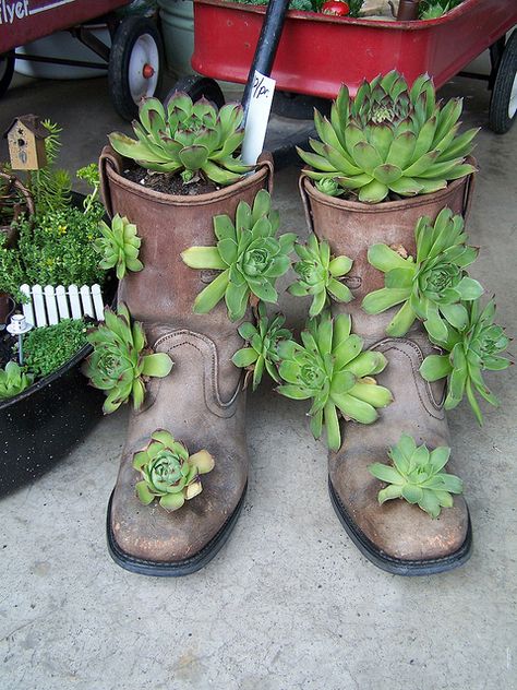 Hens and chicks planted in old boots....makes a stunning display anywhere in the garden....love this!! Unusual Planter, Garden Containers, Hens And Chicks, Small Space Gardening, Cactus Y Suculentas, Deco Floral, Cactus And Succulents, Garden Crafts, Succulents Garden