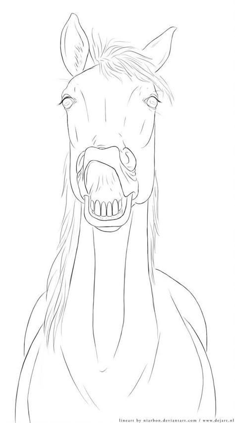 Horse Drawing Tutorial, Unfinished Art, Horse Outline, Funny Horse Pictures, Horse Art Drawing, Horse Sketch, Animal Drawings Sketches, Horse Coloring Pages, Horse Drawing