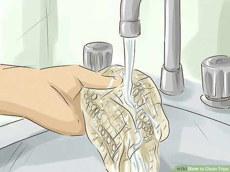 How to Clean Tripe: 13 Steps (with Pictures) - wikiHow Honeycomb Tripe, Tripe Soup, Beef Tripe, Beef Meat, The Cow, Farm Animals, Honeycomb, Mexican Food Recipes, Cow